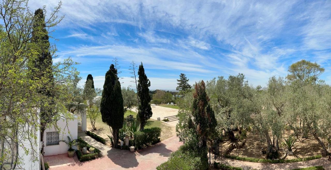 Si Brahim Studio Piscine, Sidi Bou Ali Esterno foto